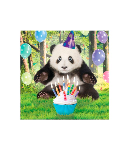 Birthday Panda - Malarkey Cards