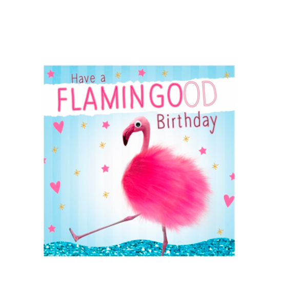 Birthday funky quirky unusual modern cool card cards greetings greeting original classic wacky contemporary art illustration fun vintage retro fluff googly eyes googlies tracks flamingo flamingood
