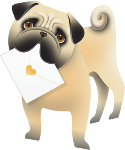 funky quirky unusual modern cool card cards greetings greeting original classic wacky contemporary art photographic fun vintage retro monty 3D cut-out special-delivery pug dog