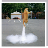 1000-words cat rocket funky quirky unusual modern cool card cards greetings greeting original classic wacky contemporary art humorous photographic U-Studio
