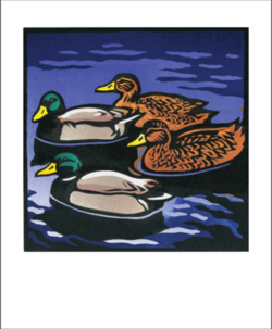 funky quirky unusual modern cool card cards greetings greeting original classic wacky contemporary art illustration fun vintage retro mallard duck Chris-Wormell Art-Angels linocut