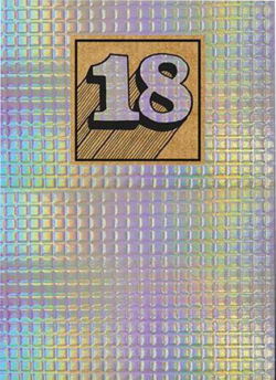 funky quirky unusual modern cool card cards greetings greeting original classic wacky contemporary art illustration photographic shiny tiled 18 18th eighteen eighteenth birthday card