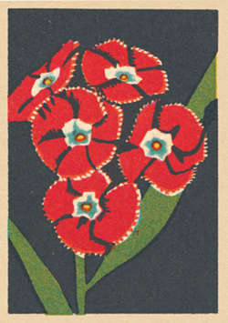 flower funky quirky unusual modern cool card cards greetings greeting original classic wacky contemporary art illustration fun vintage retro matchbox art-press splendour
