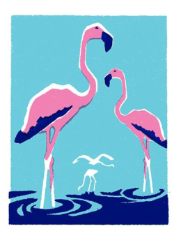 Birthday funky quirky unusual modern cool card cards greetings greeting original classic wacky contemporary art illustration fun vintage retro letterpress flamingo Archivist-Cards