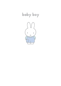 bunny rabbit funky quirky unusual modern cool card cards greetings greeting original classic wacky contemporary art illustration photographic vintage retro kids book miffy baby boy dick-bruna