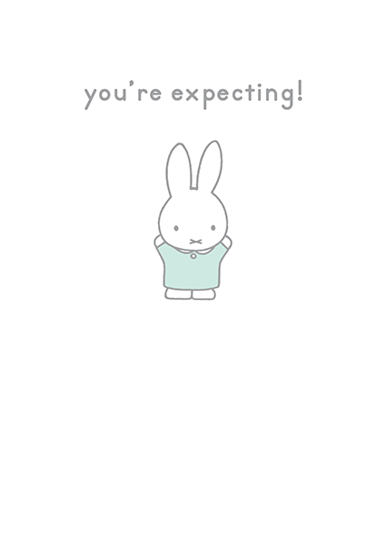 bunny rabbit funky quirky unusual modern cool card cards greetings greeting original classic wacky contemporary art illustration photographic vintage retro kids book you're expecting miffy dick-bruna hype-cards