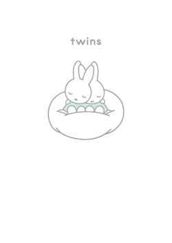 twins new baby miffy dick-bruna hype-cards