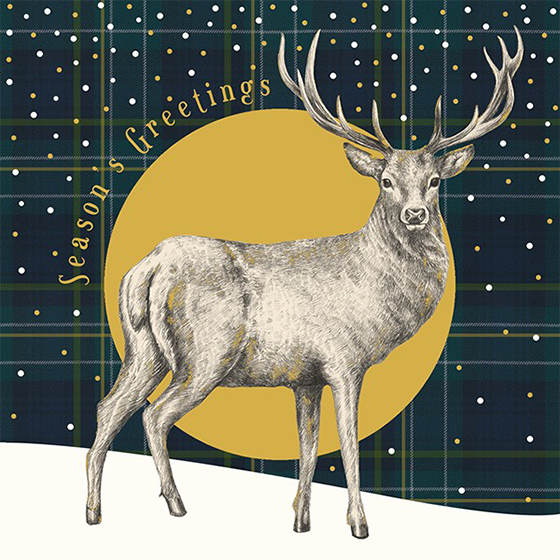 Malarkey Cards Brighton sell funky quirky unusual modern cool original classic wacky contemporary art illustration photographic distinctive vintage retro funny rude humorous birthday Christmas xmas seasonal greetings cards the art file charity packs XP301 reindeer seasons greetings