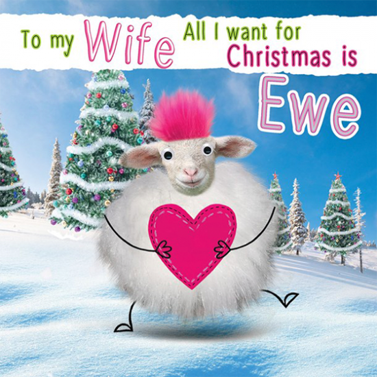 funky quirky unusual modern cool card cards greetings greeting original classic wacky contemporary art illustration photographic distinctive vintage retro Christmas xmas Tracks googly-eyes fluff funny ewe wife