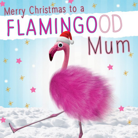 funky quirky unusual modern cool card cards greetings greeting original classic wacky contemporary art illustration photographic distinctive vintage retro Christmas xmas Tracks googly-eyes fluff funny mum flamingo