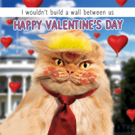 funky quirky unusual modern cool card cards greetings greeting original classic wacky contemporary art illustration photographic distinctive vintage retro humourous funny Tracks fluff google eyes valentine valentine’s-day trump cat wall