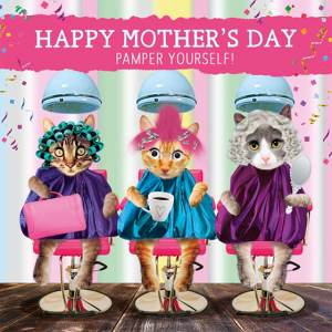 cats pamper funky quirky unusual modern cool card cards greetings greeting original classic wacky contemporary art illustration photographic distinctive vintage retro humourous funny mother’s day mum mother mummy card googly eyes googles tracks fluff