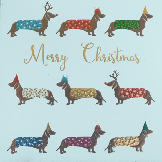 funky quirky unusual modern cool card cards greetings greeting original classic wacky contemporary art illustration photographic distinctive vintage retro Christmas xmas Tracks humourous funny cute charity packs dachshund dogs xps011 malarkey