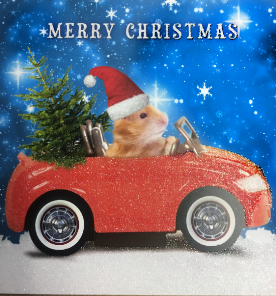 funky quirky unusual modern cool card cards greetings greeting original classic wacky contemporary art illustration photographic distinctive vintage retro Christmas xmas Tracks Humorous funny cute malarkey hamster car flitter glitter xs284