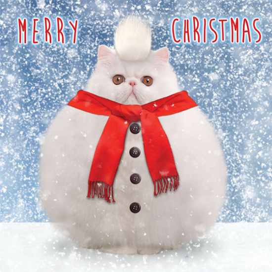 funky quirky unusual modern cool card cards greetings greeting original classic wacky contemporary art illustration photographic distinctive vintage retro Christmas xmas Tracks Humorous funny cute malarkey snowball cat xs370 fluff