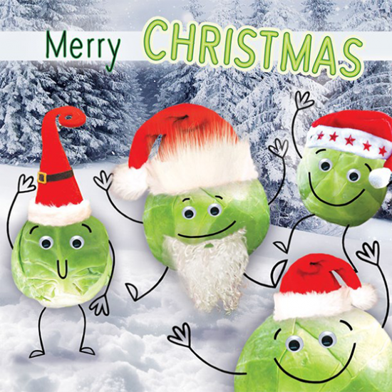 funky quirky unusual modern cool card cards greetings greeting original classic wacky contemporary art illustration photographic distinctive vintage retro Christmas xmas Tracks Humorous funny cute malarkey Brussel sprouts xs380 Santa hats googlies googly eyes fluff