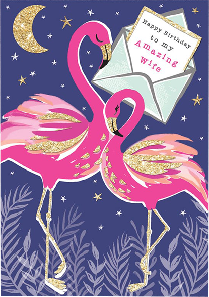 Malarkey Cards Brighton sell funky quirky unusual modern cool card cards greetings greeting original classic wacky contemporary art photographic birthday fun vintage rachel ellen flamingo glitter flitter amazing wife