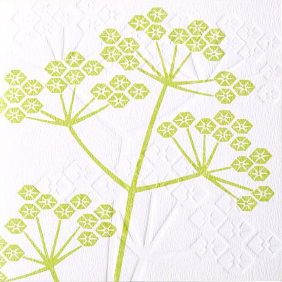 Malarkey Cards Brighton sell funky quirky unusual modern cool original classic wacky contemporary art illustration photographic distinctive vintage retro funny rude humorous birthday greetings cards debossed embossed Lino King Cards Ashleaf printmaking cow parsley flower plant LNC703