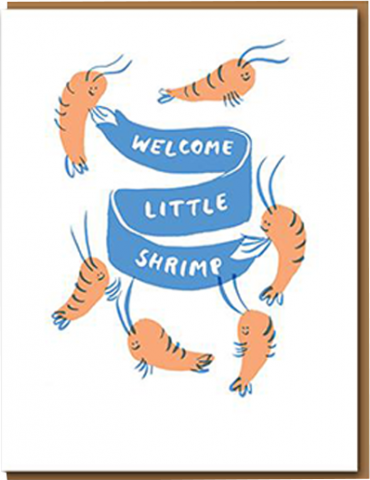 Malarkey Cards Brighton sell funky quirky kitsch unusual modern cool original classic wacky contemporary art illustration photographic distinctive vintage retro funny rude cute humorous birthday seasonal greetings cards 1973 nineteenseventythree egg press welcome little shrimp new baby