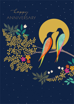 Malarkey Cards Brighton sell funky quirky unusual modern cool original classic wacky contemporary art illustration photographic distinctive vintage retro funny rude humorous birthday seasonal greetings cards Art File Sara Miller happy anniversary birds