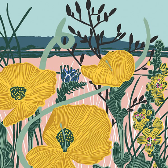 Malarkey Cards Brighton sell funky quirky unusual modern cool original classic wacky contemporary art illustration photographic distinctive vintage retro funny rude humorous birthday seasonal greetings cards Art File Kate Heiss Nature Trail yellow horned poppies flowers