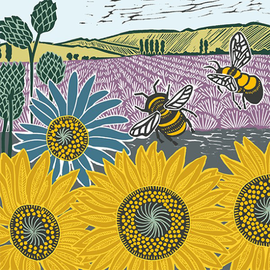 Malarkey Cards Brighton sell funky quirky unusual modern cool original classic wacky contemporary art illustration photographic distinctive vintage retro funny rude humorous birthday seasonal greetings cards Art File Kate Heiss Nature Trail bees and sunflowers