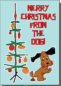 Malarkey Cards Brighton sell funky quirky unusual modern cool original classic wacky contemporary art illustration photographic distinctive vintage retro funny rude humorous birthday seasonal Christmas xmas greetings cards bite your granny merry Christmas from the dog poo