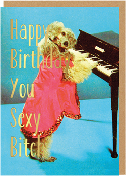 Malarkey Cards Brighton sell funky quirky unusual modern cool original classic wacky contemporary art illustration photographic distinctive vintage retro funny rude humorous birthday seasonal greetings cards ohh deer smitten kitten sexy bitch dog