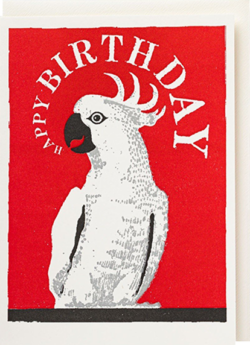 Malarkey Cards Brighton sell funky quirky unusual modern cool original classic wacky contemporary art illustration photographic distinctive vintage retro funny rude humorous birthday seasonal greetings cards archivist cockatoo