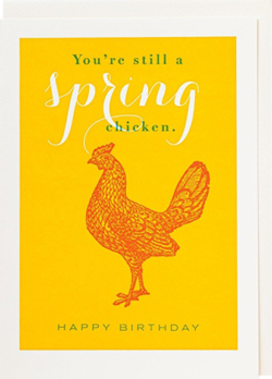 Malarkey Cards Brighton sell funky quirky unusual modern cool original classic wacky contemporary art illustration photographic distinctive vintage retro funny rude humorous birthday seasonal greetings cards archivist you're still a spring chicken