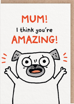 Malarkey Cards Brighton sell funky quirky unusual modern cool original classic wacky contemporary art illustration photographic distinctive vintage retro funny rude humorous birthday mothers day mum Gemma corral ohh deer